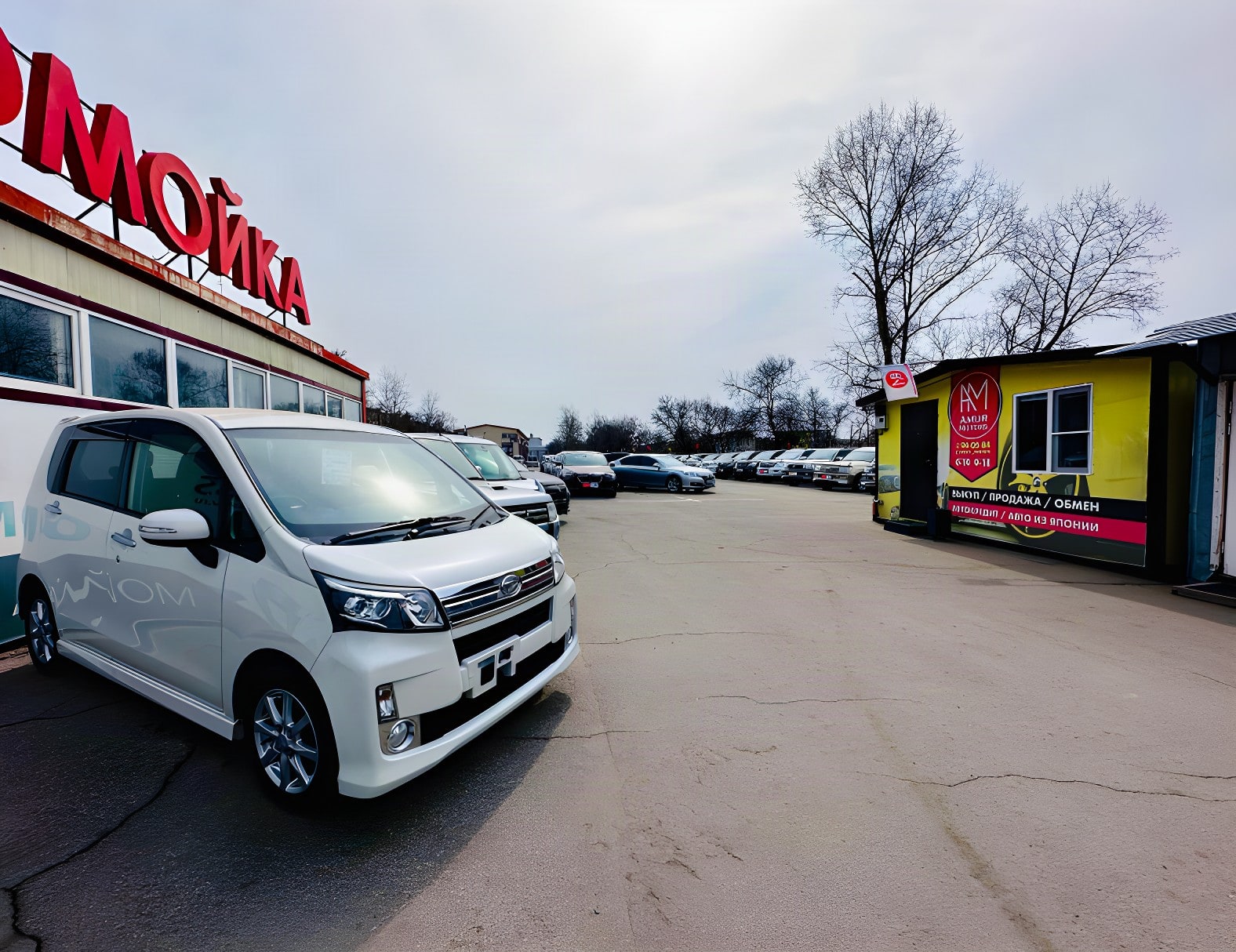 Оценщик Amur Motors осматривает автомобиль